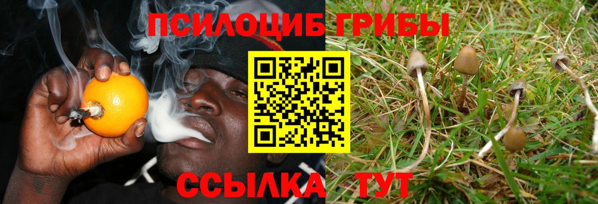 Алапаевск  Галлюциногенные грибы GOLDEN TEACHER  Вход с VPN  Галлюциногенные грибы Psilocybe 