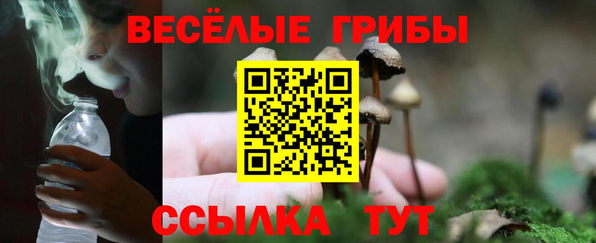 Галлюциногенные грибы GOLDEN TEACHER Алапаевск